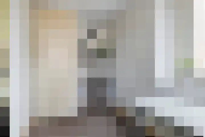 Kroonkruid 75 Venray thumbnail 23