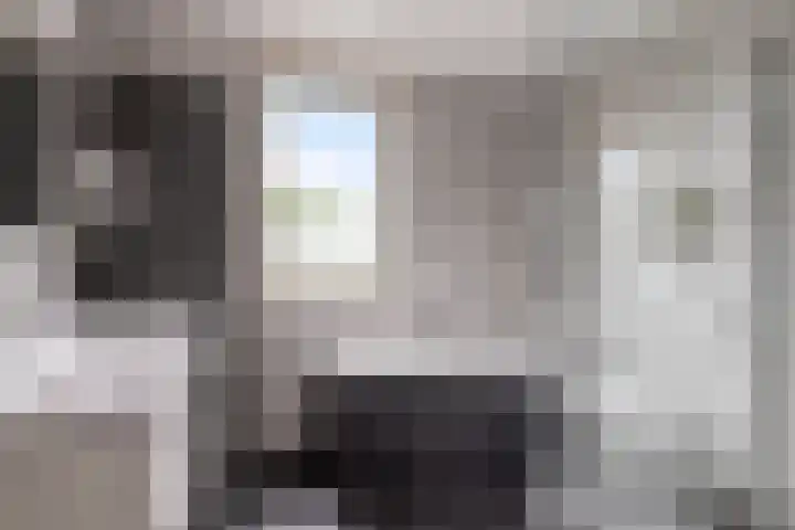 Kroonkruid 75 Venray thumbnail 25
