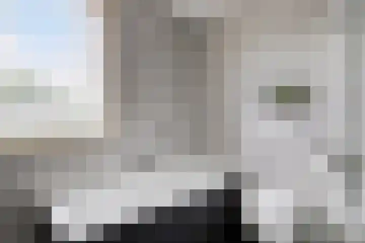 Kroonkruid 75 Venray thumbnail 26