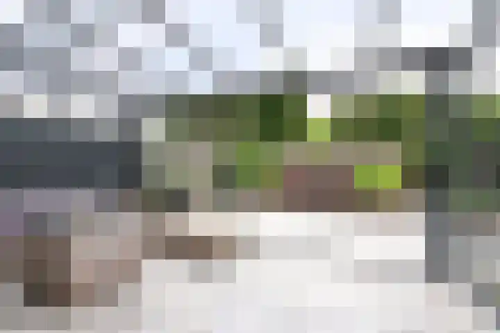 Kroonkruid 75 Venray thumbnail 34