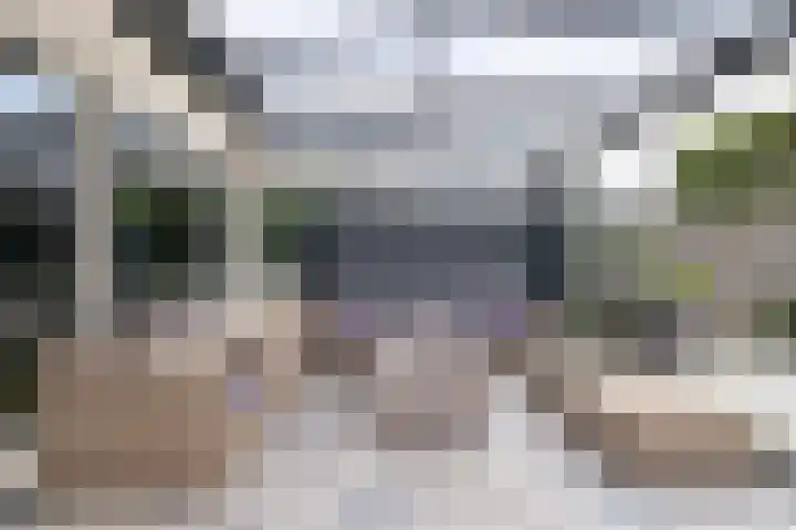 Kroonkruid 75 Venray thumbnail 35