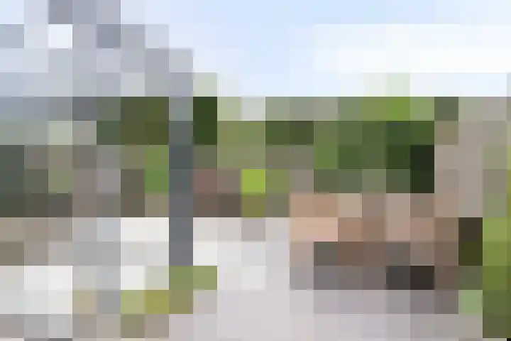 Kroonkruid 75 Venray thumbnail 36
