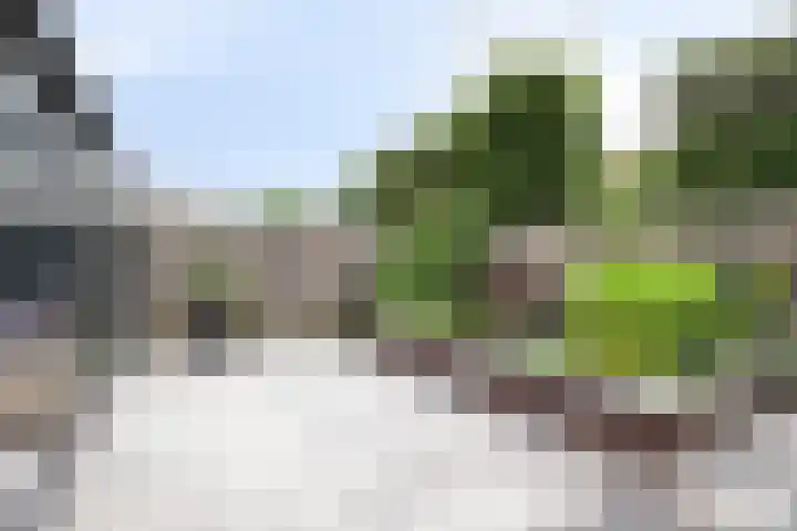 Kroonkruid 75 Venray thumbnail 37