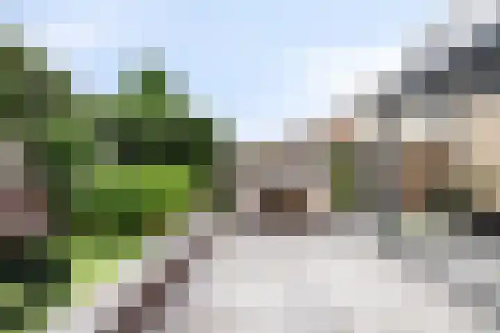 Kroonkruid 75 Venray thumbnail 38