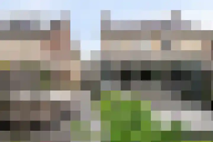 Kroonkruid 75 Venray thumbnail 40