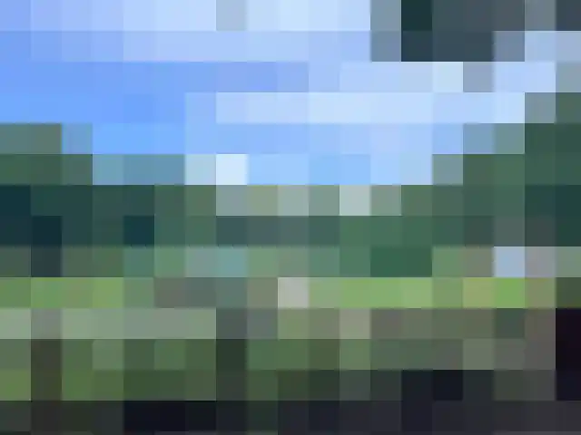 Kroonkruid 75 Venray thumbnail 42