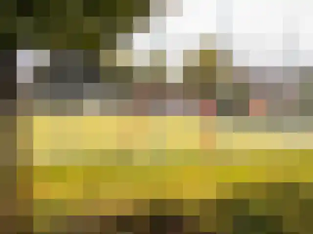 Kroonkruid 75 Venray thumbnail 43