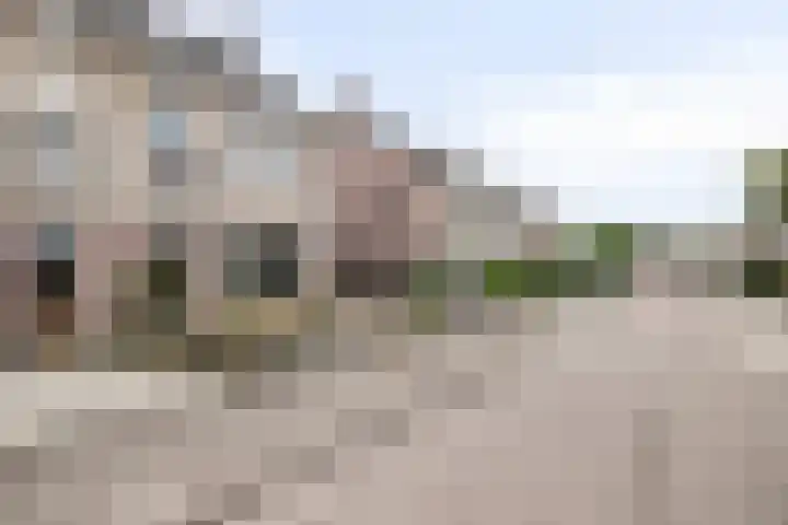 Kroonkruid 75 Venray thumbnail 44