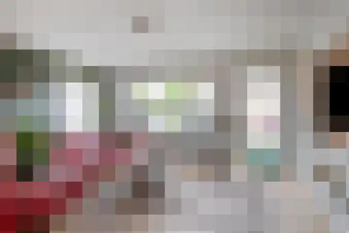 Kroonkruid 75 Venray thumbnail 6