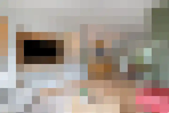 Kroonkruid 75 Venray thumbnail 8