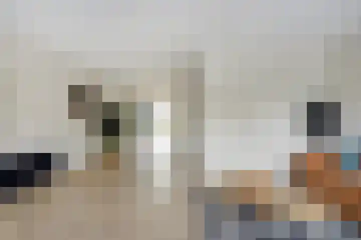 Kroonkruid 79 Venray thumbnail 12