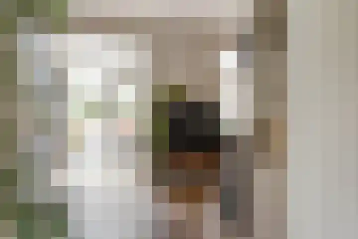 Kroonkruid 79 Venray thumbnail 13