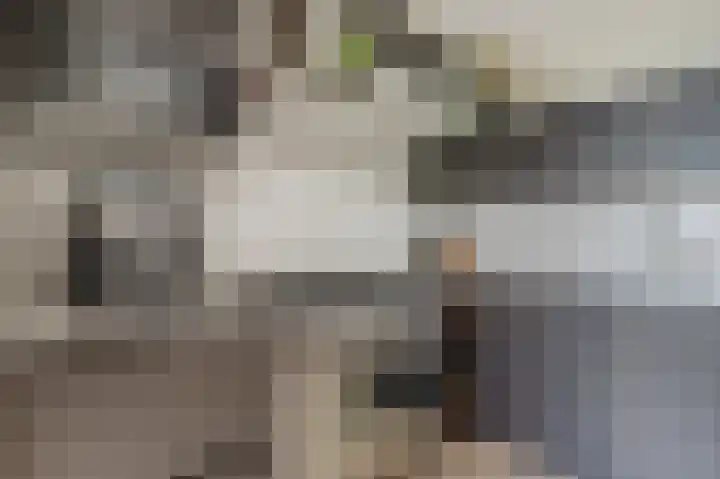 Kroonkruid 79 Venray thumbnail 16