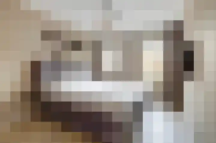Kroonkruid 79 Venray thumbnail 22