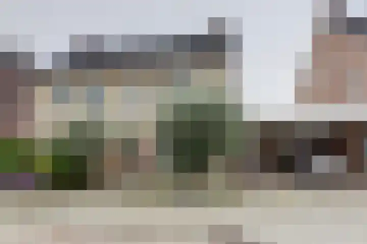 Kroonkruid 79 Venray thumbnail 36