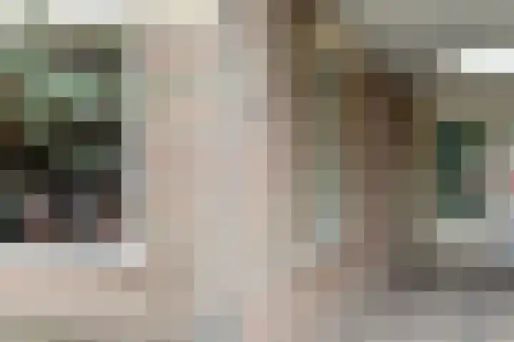 Kroonkruid 79 Venray thumbnail 4