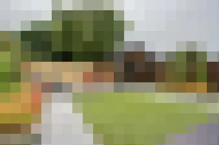 Kroonkruid 79 Venray thumbnail 5