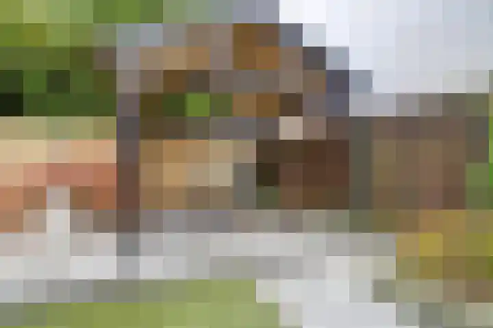 Kroonkruid 79 Venray thumbnail 6