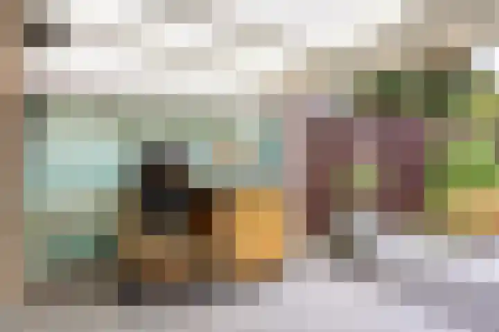 Kroonkruid 79 Venray thumbnail 8