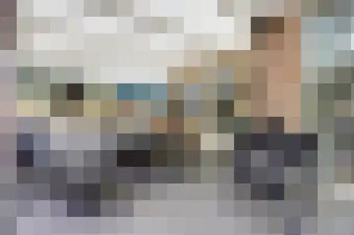 Kroonkruid 79 Venray thumbnail 9