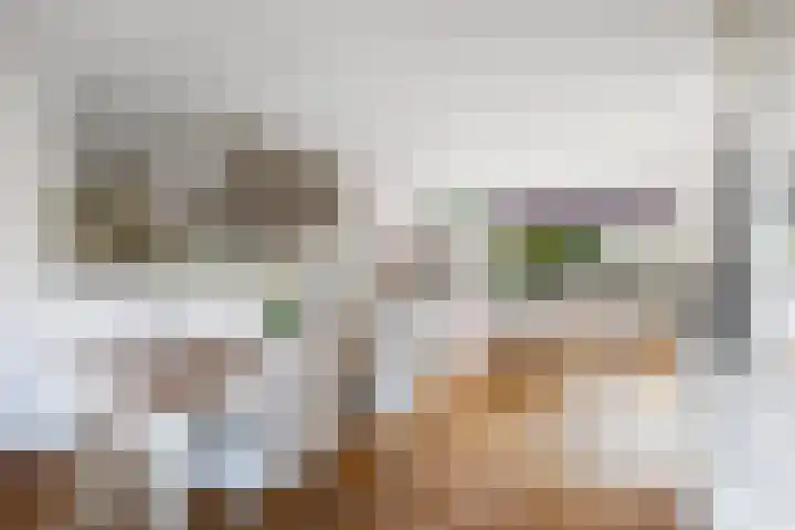 Kroonkruid 81 Nieuwerkerk aan den IJssel thumbnail 10