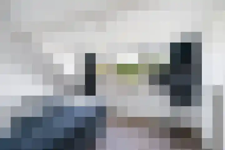 Kroonkruid 81 Nieuwerkerk aan den IJssel thumbnail 17