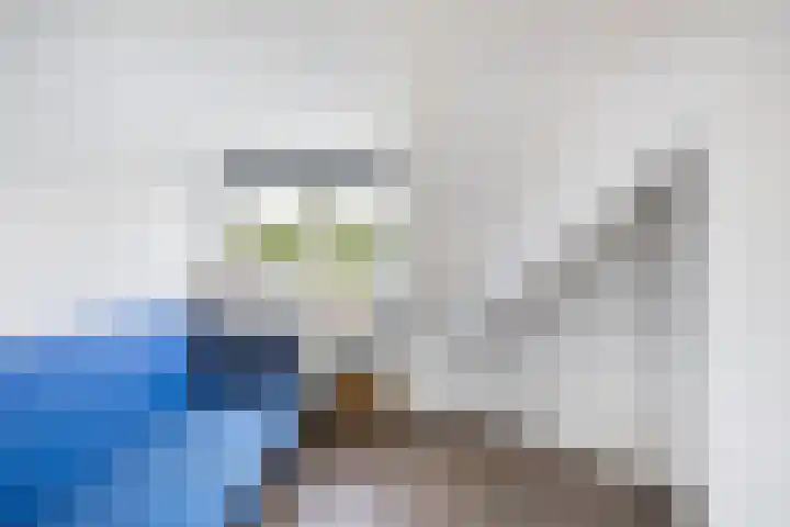 Kroonkruid 81 Nieuwerkerk aan den IJssel thumbnail 19