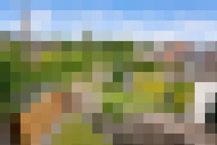 Kroonkruid 81 Nieuwerkerk aan den IJssel thumbnail 24