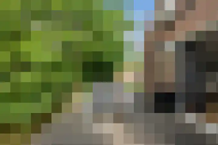 Kroonkruid 81 Nieuwerkerk aan den IJssel thumbnail 26