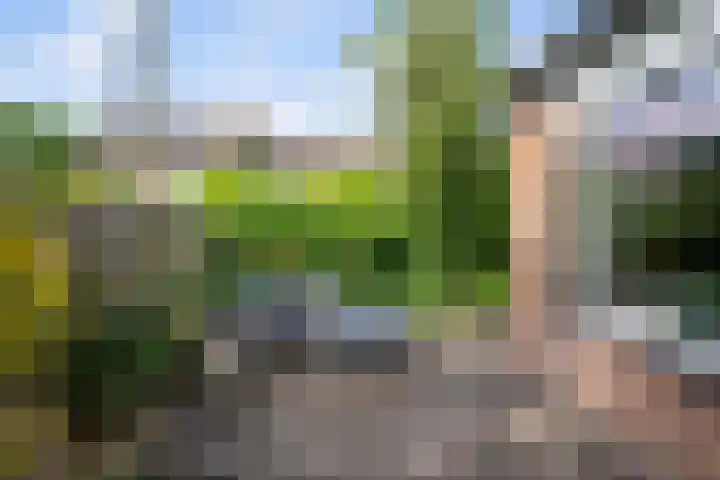 Kroonkruid 81 Nieuwerkerk aan den IJssel thumbnail 27