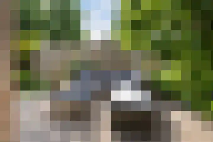 Kroonkruid 81 Nieuwerkerk aan den IJssel thumbnail 28
