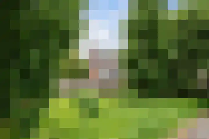 Kroonkruid 81 Nieuwerkerk aan den IJssel thumbnail 29