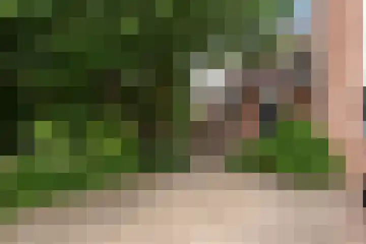 Kroonkruid 81 Nieuwerkerk aan den IJssel thumbnail 30