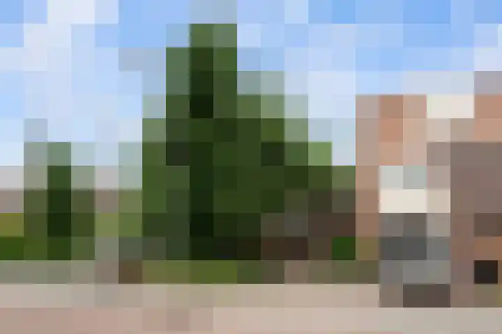 Kroonkruid 81 Nieuwerkerk aan den IJssel thumbnail 31