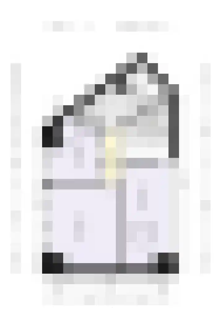 Kroonkruid 81 Nieuwerkerk aan den IJssel thumbnail 34