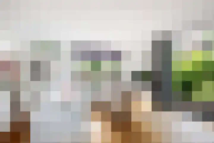 Kroonkruid 81 Nieuwerkerk aan den IJssel thumbnail 4