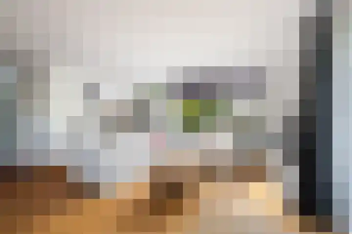 Kroonkruid 81 Nieuwerkerk aan den IJssel thumbnail 5