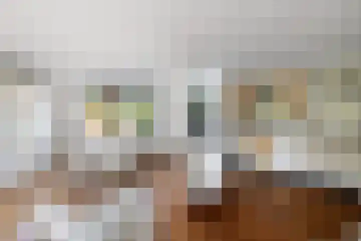 Kroonkruid 81 Nieuwerkerk aan den IJssel thumbnail 7