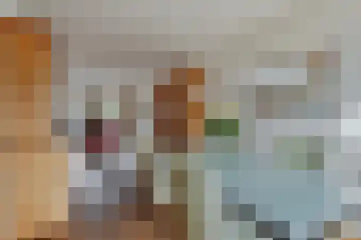 Kroonkruid 83 Venray thumbnail 12