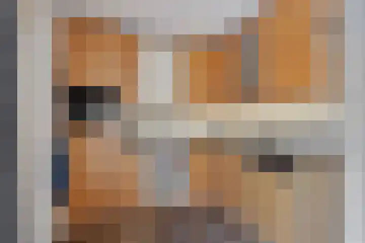 Kroonkruid 83 Venray thumbnail 13