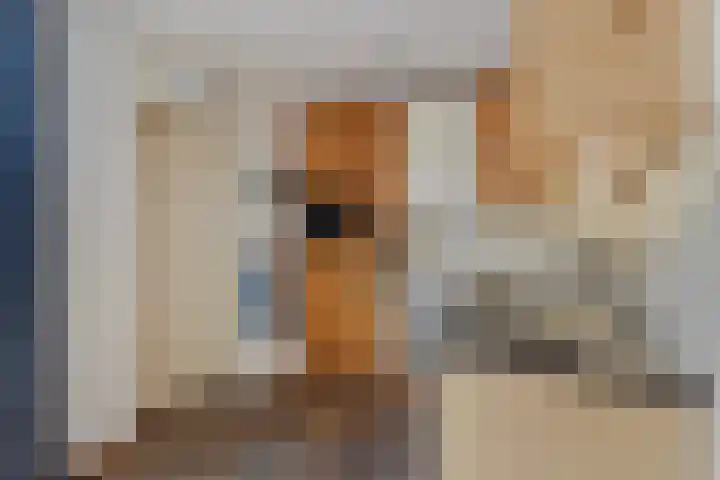 Kroonkruid 83 Venray thumbnail 14