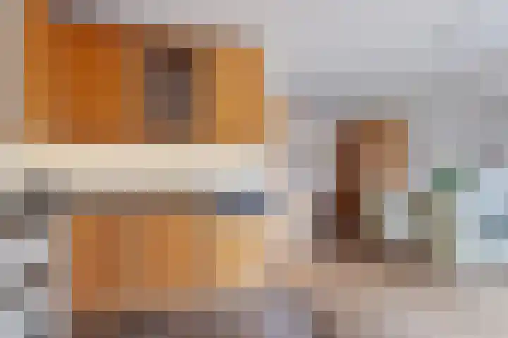 Kroonkruid 83 Venray thumbnail 15