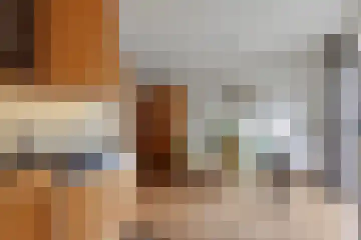 Kroonkruid 83 Venray thumbnail 16