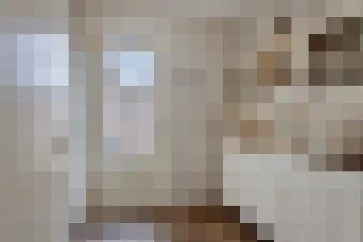 Kroonkruid 83 Venray thumbnail 18