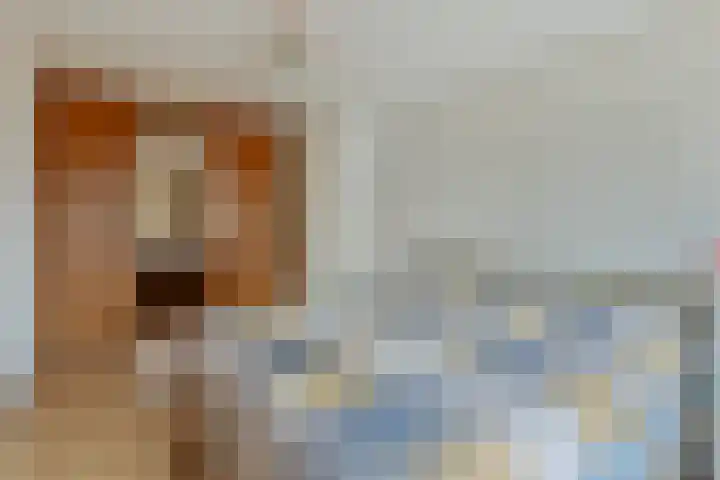 Kroonkruid 83 Venray thumbnail 21