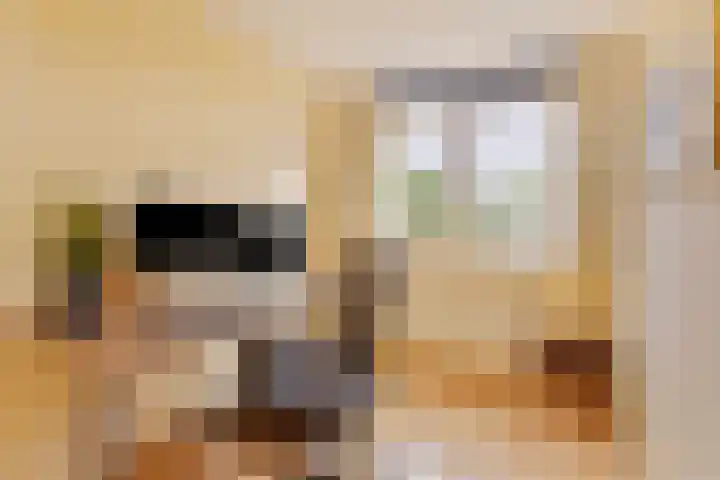 Kroonkruid 83 Venray thumbnail 23