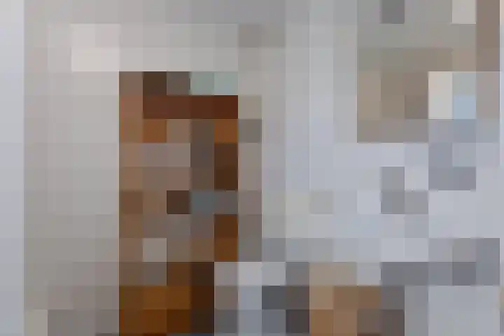 Kroonkruid 83 Venray thumbnail 28
