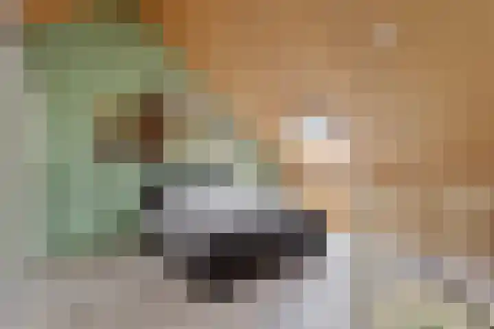 Kroonkruid 83 Venray thumbnail 30