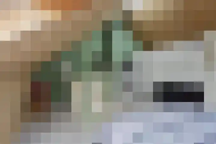 Kroonkruid 83 Venray thumbnail 32