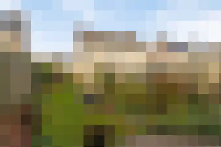 Kroonkruid 83 Venray thumbnail 34